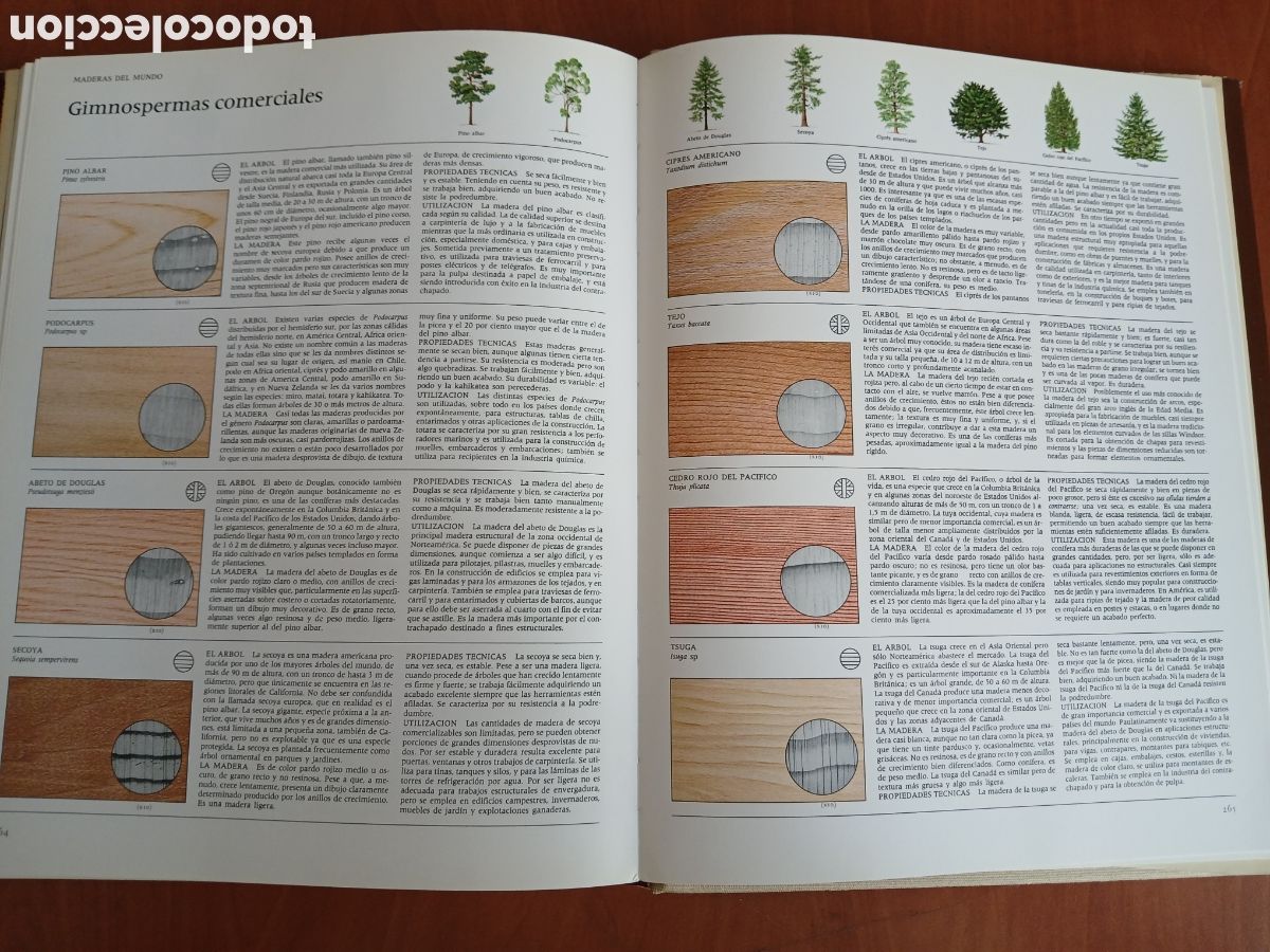 Libros de segunda mano: La Madera. Editorial Blume. - Foto 20