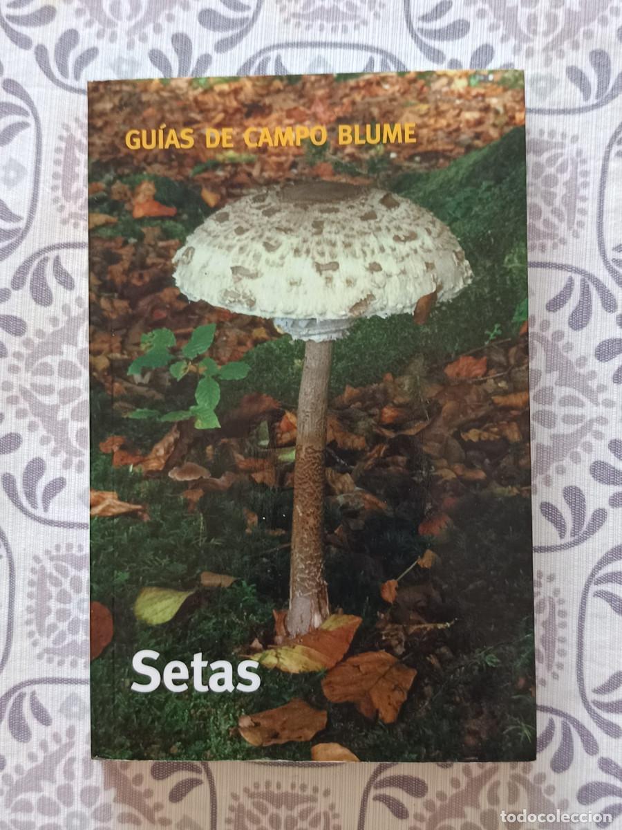 Libros de segunda mano: SETAS GUIAS DE CAMPO BLUME