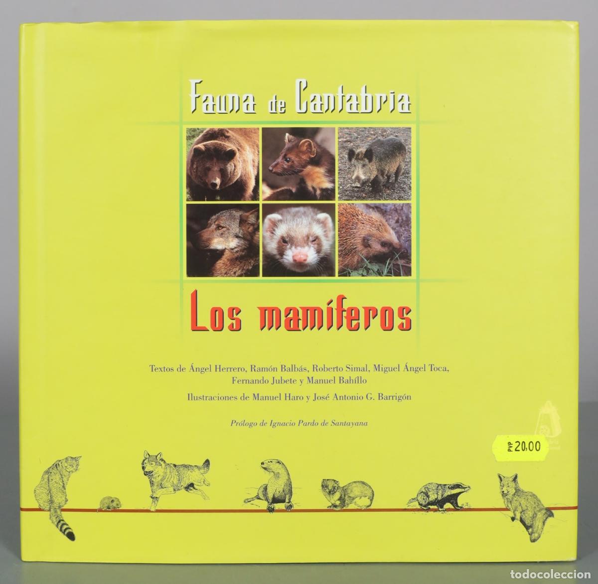 Libros de segunda mano: Fauna de Cantabria - Los mam&iacute;feros - &Aacute;ngel Herrero, Ram&oacute;n Balb&aacute;s, Roberto Simal, Miguel &Aacute;ngel Toca,