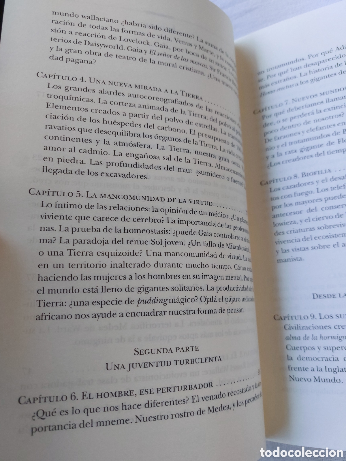 Libros de segunda mano: Aqu&iacute; en la tierra. Tim Flannery - Foto 3
