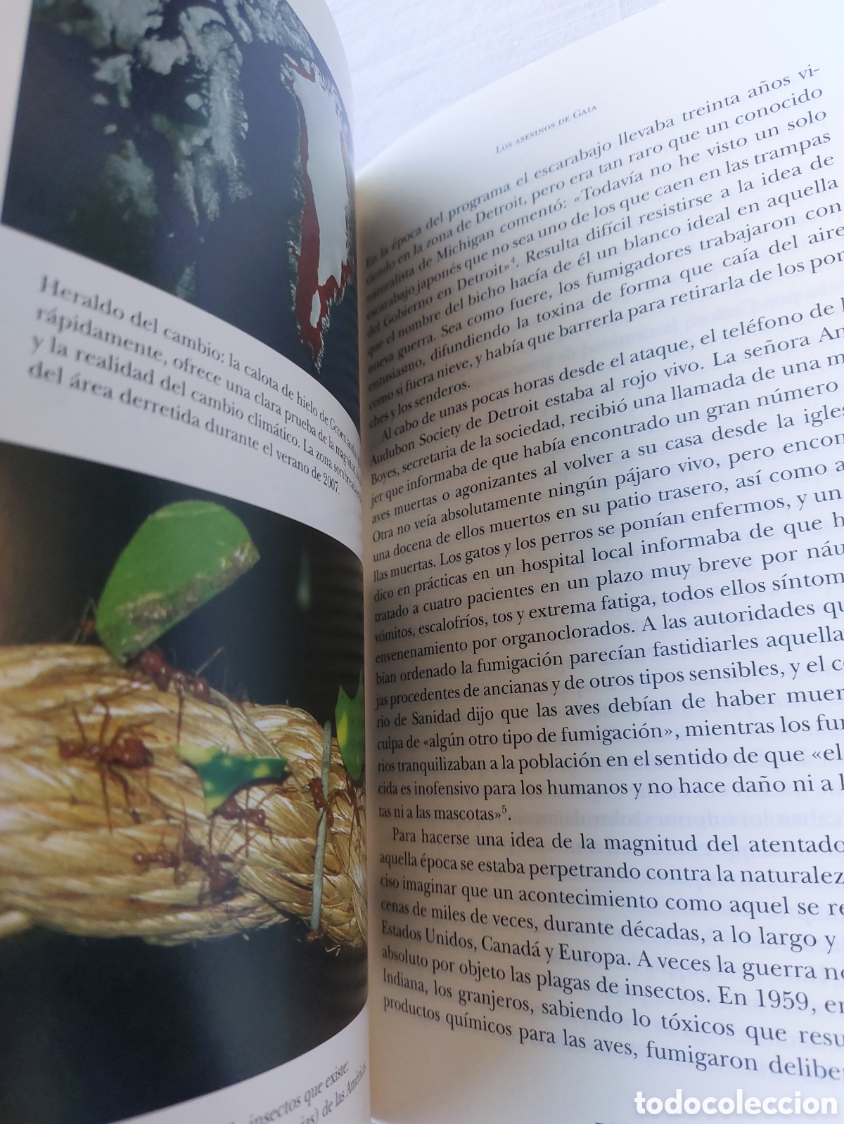 Libros de segunda mano: Aqu&iacute; en la tierra. Tim Flannery - Foto 9