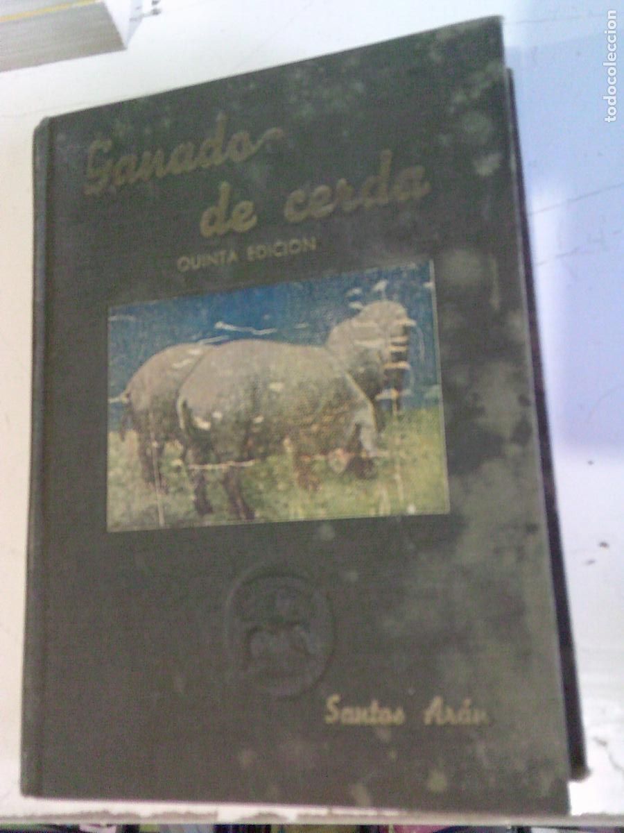 Libros de segunda mano: Ganado de cerda Santos Ar&aacute;n Madrid
