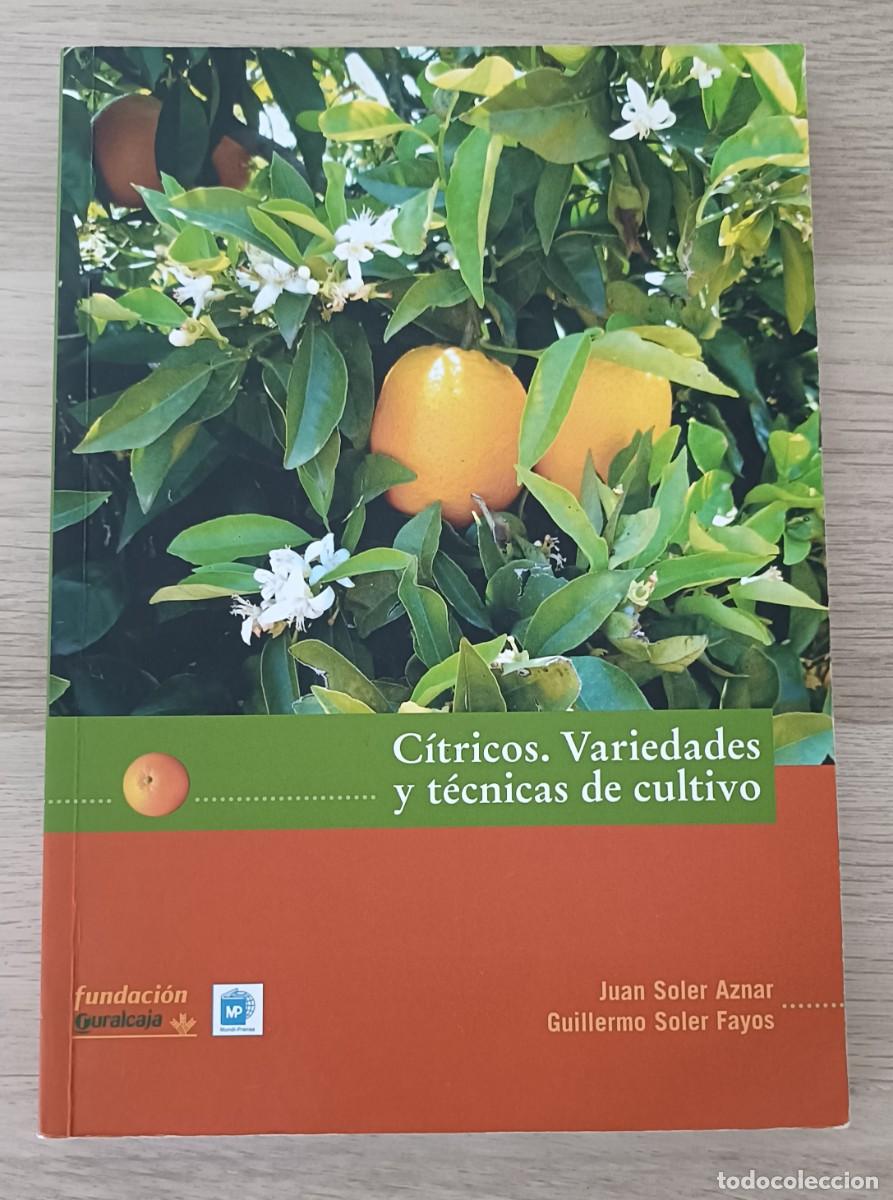 Libros de segunda mano: C&Iacute;TRICOS, Variedades y t&eacute;cnicas de Cultivo, Juan Soler Aznar y Guillermo Soler Fayos, Agricultura