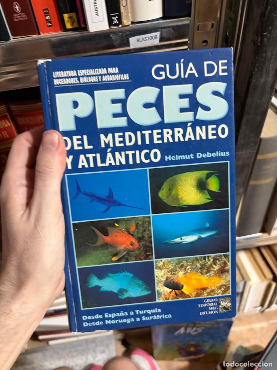 Libros de segunda mano: BLAS100B &mdash; Helmut Debelius &mdash; Gu&iacute;a de peces del Mediterr&aacute;neo y Atl&aacute;ntico &mdash; Grupo Editorial M&G Difusi