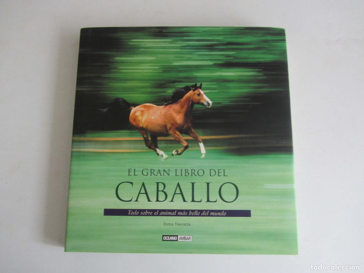 Libros de segunda mano: El gran libro del caballo. Inma Navarra. Oceano-Ambar 2006