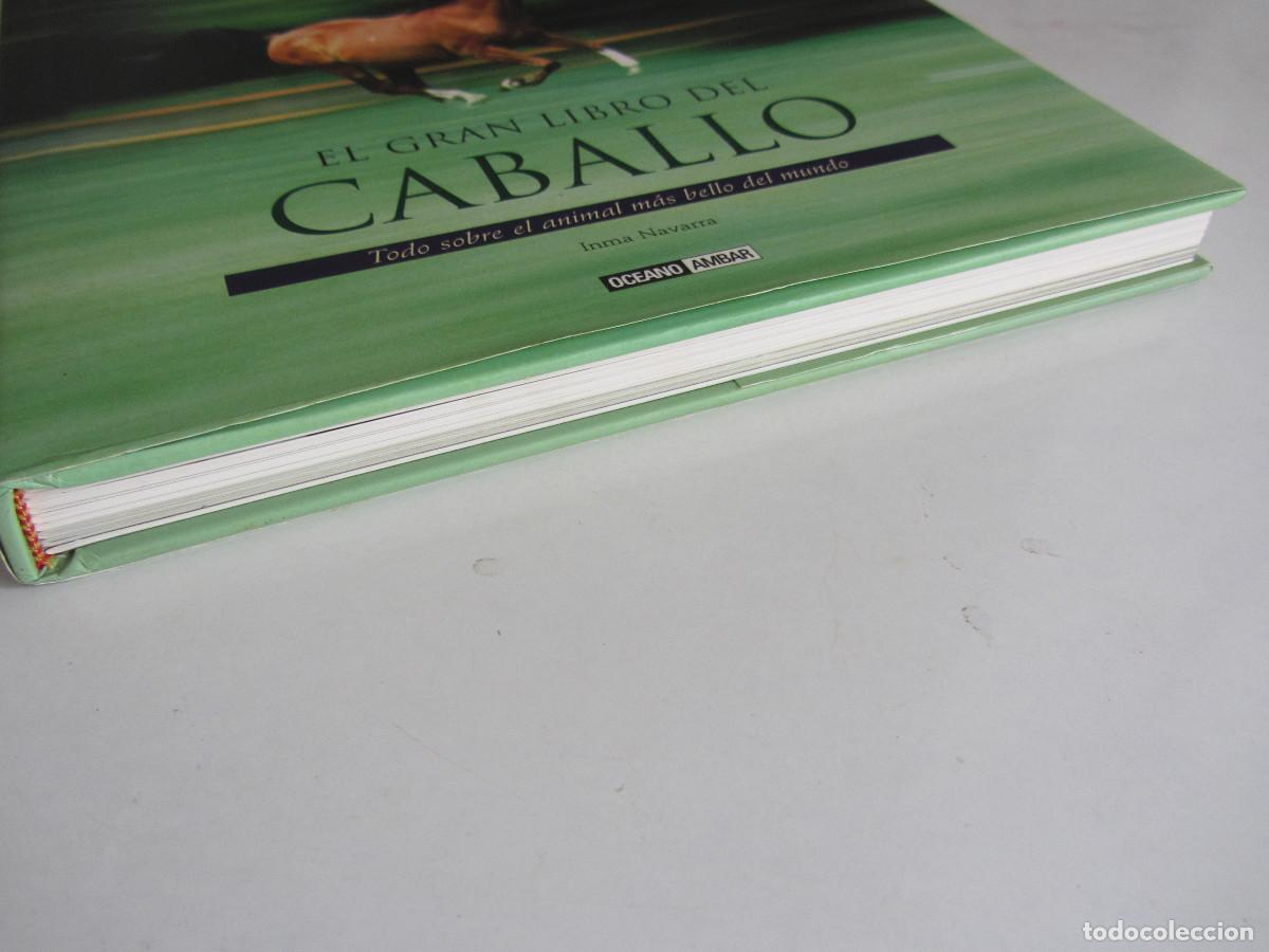 Libros de segunda mano: El gran libro del caballo. Inma Navarra. Oceano-Ambar 2006 - Foto 4
