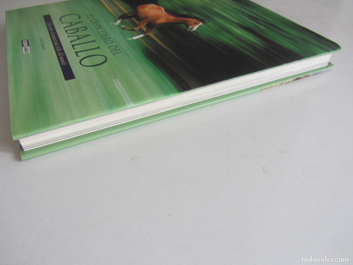 Libros de segunda mano: El gran libro del caballo. Inma Navarra. Oceano-Ambar 2006 - Foto 5