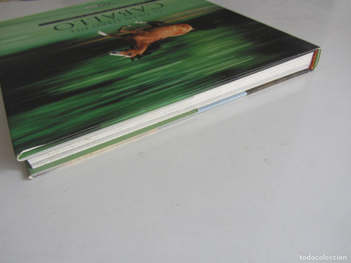 Libros de segunda mano: El gran libro del caballo. Inma Navarra. Oceano-Ambar 2006 - Foto 6