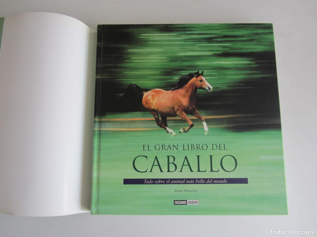 Libros de segunda mano: El gran libro del caballo. Inma Navarra. Oceano-Ambar 2006 - Foto 7