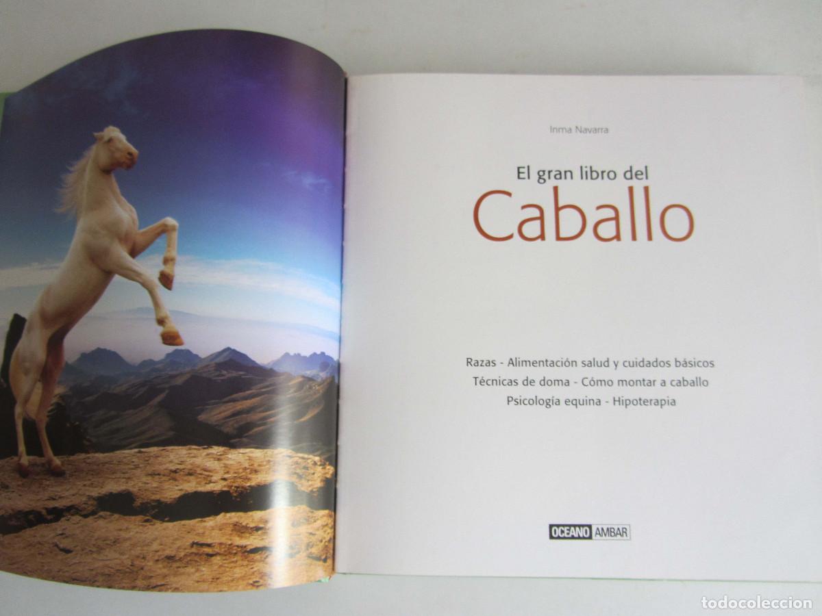 Libros de segunda mano: El gran libro del caballo. Inma Navarra. Oceano-Ambar 2006 - Foto 9