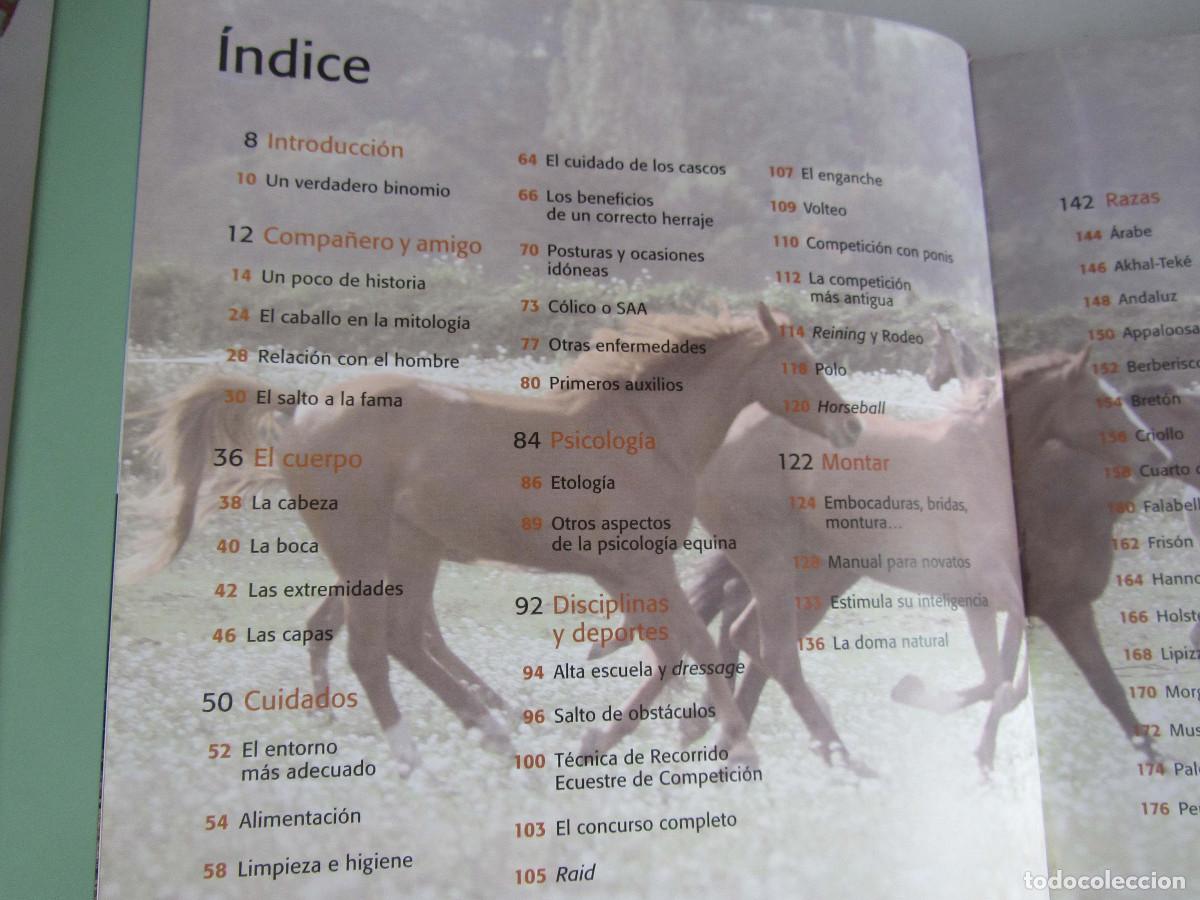 Libros de segunda mano: El gran libro del caballo. Inma Navarra. Oceano-Ambar 2006 - Foto 11