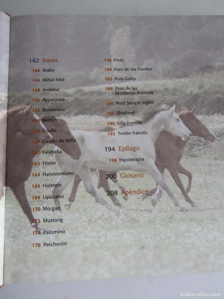 Libros de segunda mano: El gran libro del caballo. Inma Navarra. Oceano-Ambar 2006 - Foto 12