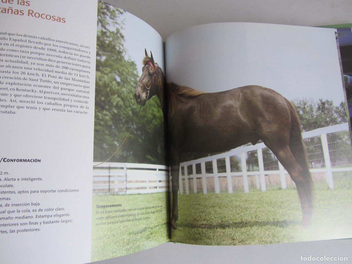 Libros de segunda mano: El gran libro del caballo. Inma Navarra. Oceano-Ambar 2006 - Foto 13