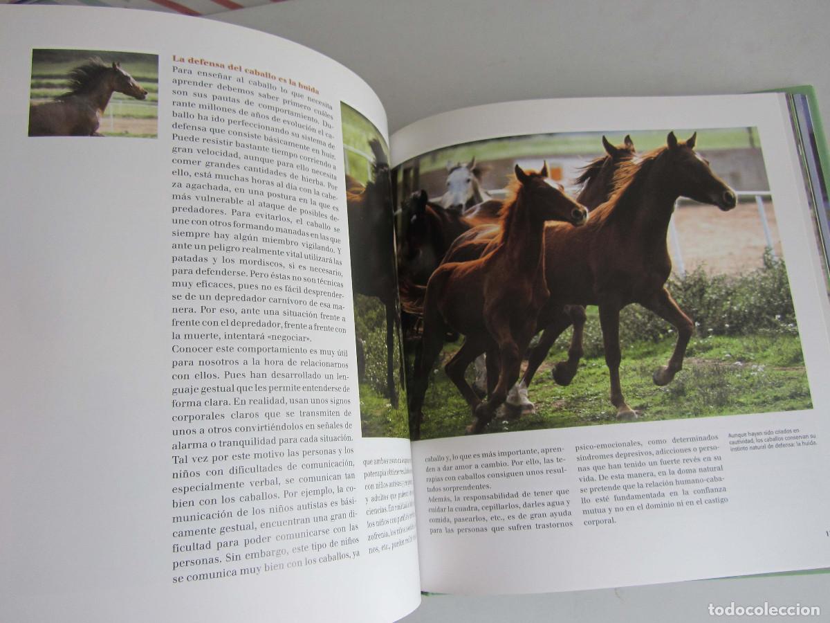 Libros de segunda mano: El gran libro del caballo. Inma Navarra. Oceano-Ambar 2006 - Foto 16