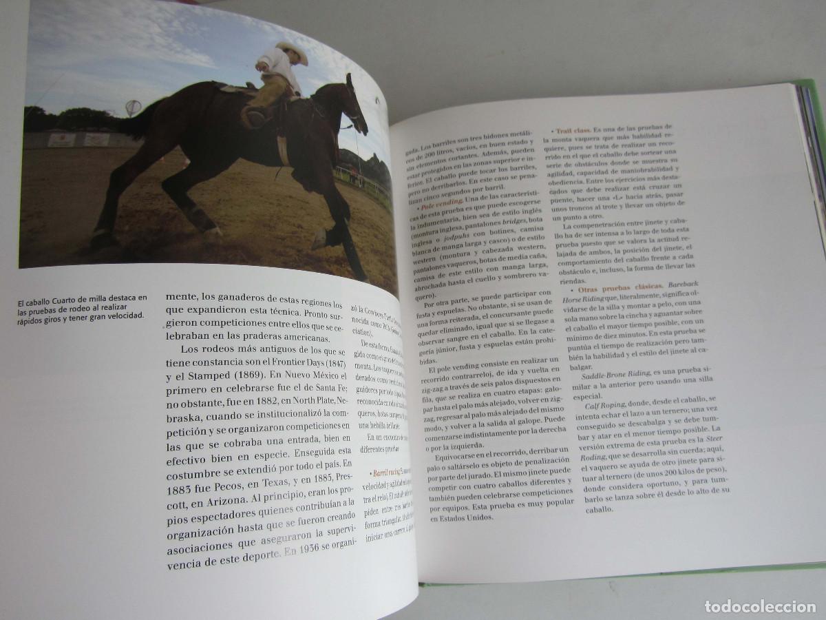 Libros de segunda mano: El gran libro del caballo. Inma Navarra. Oceano-Ambar 2006 - Foto 17