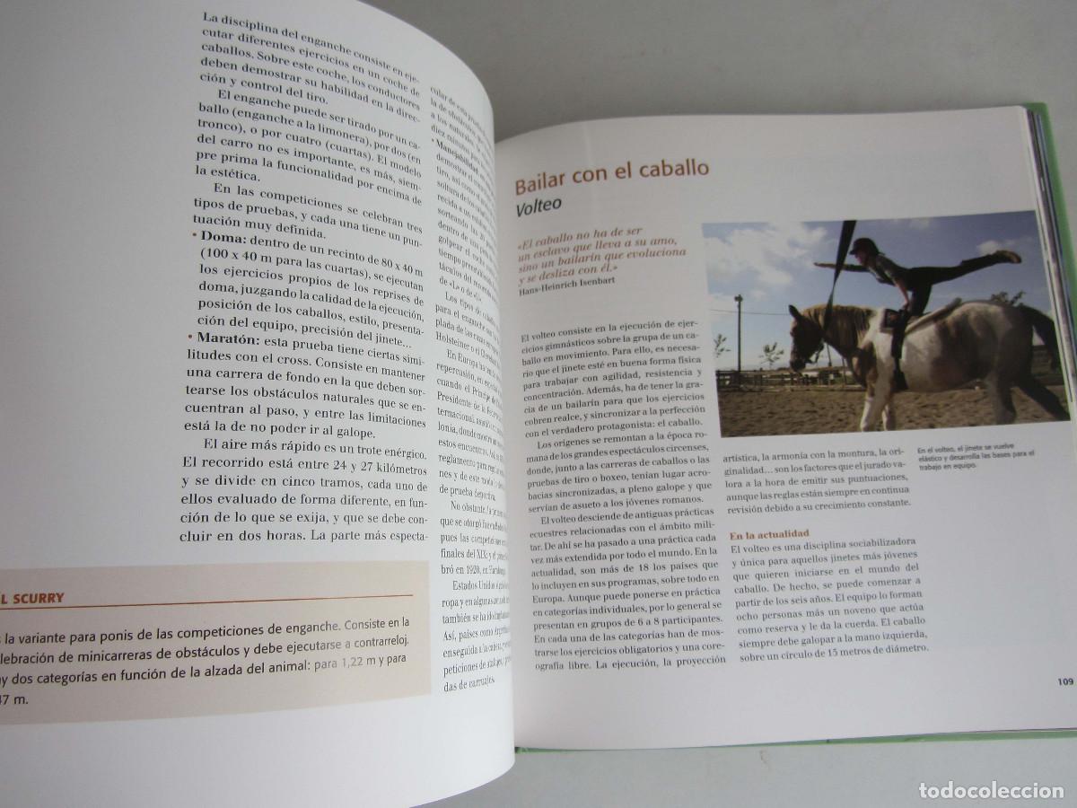 Libros de segunda mano: El gran libro del caballo. Inma Navarra. Oceano-Ambar 2006 - Foto 18