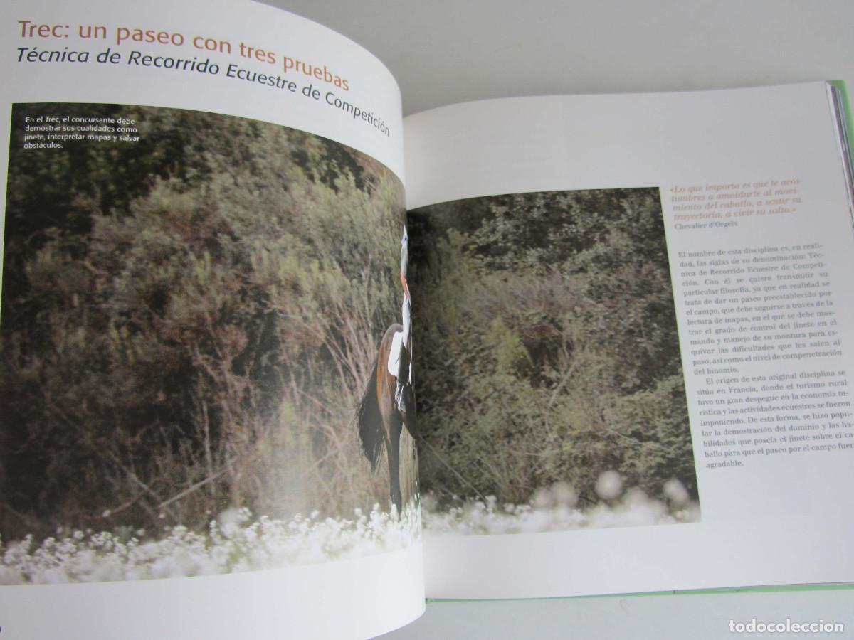 Libros de segunda mano: El gran libro del caballo. Inma Navarra. Oceano-Ambar 2006 - Foto 19