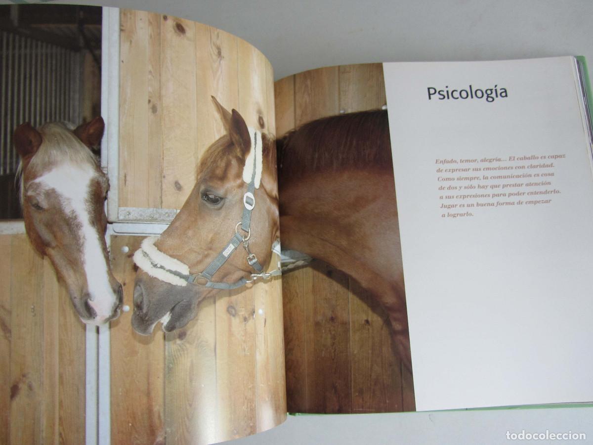 Libros de segunda mano: El gran libro del caballo. Inma Navarra. Oceano-Ambar 2006 - Foto 20