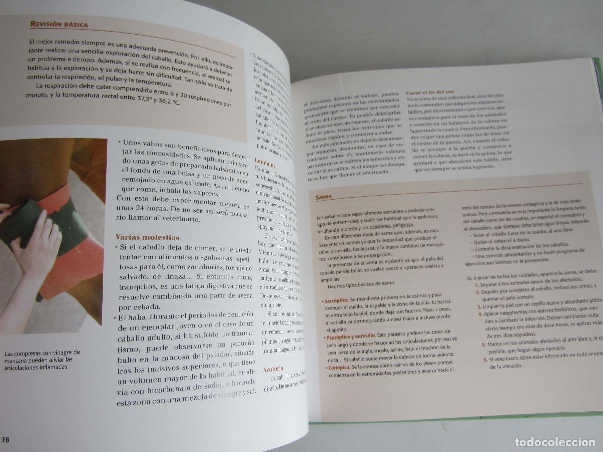 Libros de segunda mano: El gran libro del caballo. Inma Navarra. Oceano-Ambar 2006 - Foto 21