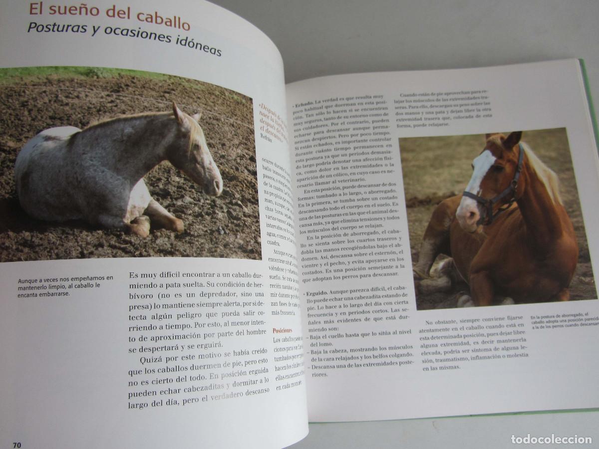 Libros de segunda mano: El gran libro del caballo. Inma Navarra. Oceano-Ambar 2006 - Foto 22