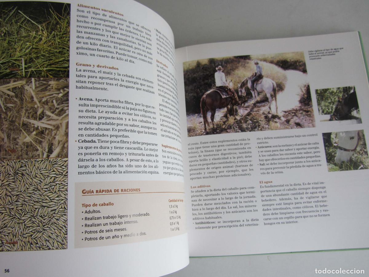 Libros de segunda mano: El gran libro del caballo. Inma Navarra. Oceano-Ambar 2006 - Foto 24