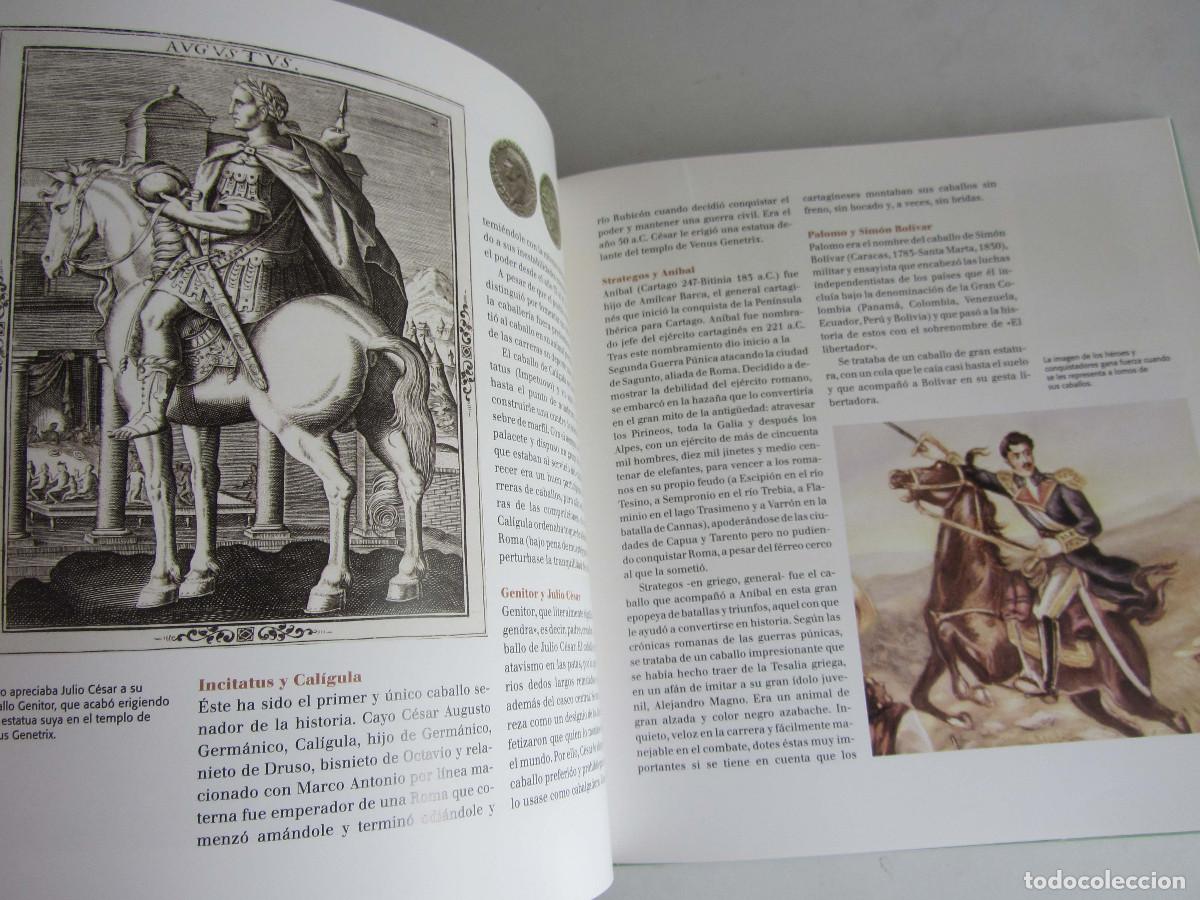 Libros de segunda mano: El gran libro del caballo. Inma Navarra. Oceano-Ambar 2006 - Foto 26