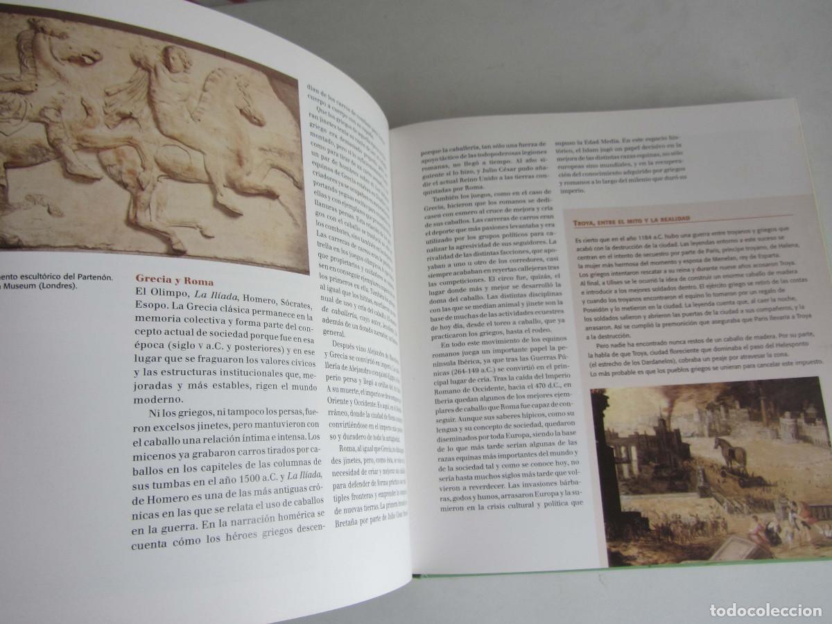 Libros de segunda mano: El gran libro del caballo. Inma Navarra. Oceano-Ambar 2006 - Foto 28
