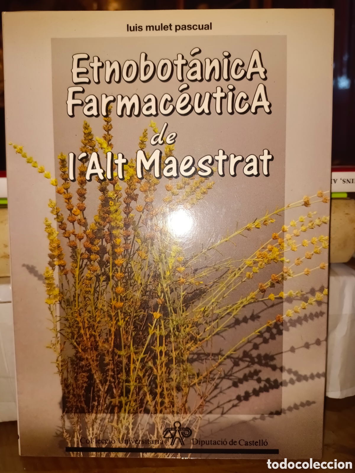 Libros de segunda mano: Etnobot&aacute;nica Farmac&eacute;utica de L'Alt Maestrar