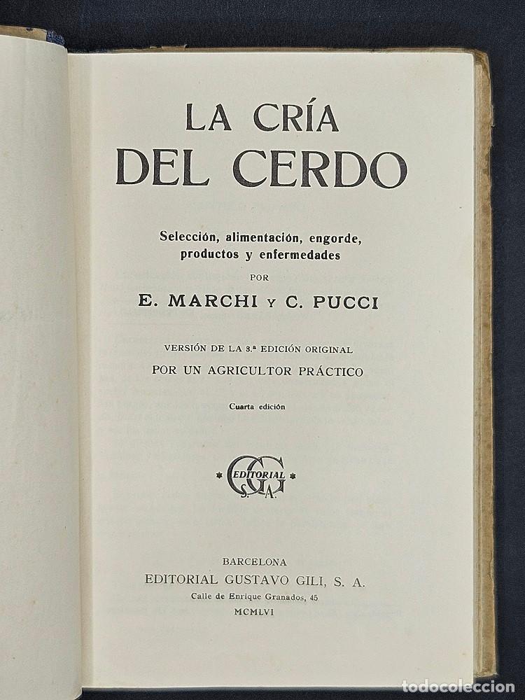 Libros de segunda mano: La Cria del Cerdo - Selecci&oacute;n, alimentaci&oacute;n, engorde, productos y enfermedades