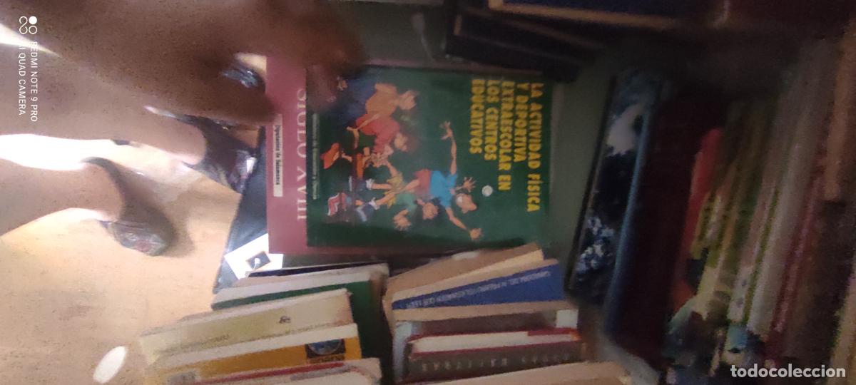 Libros de segunda mano de ciencias: LA ACTIVIDAD F&Iacute;SICA Y DEPORTIVA EXTRAESCOLAR EN LOS CENTROS EDUCATIVOS