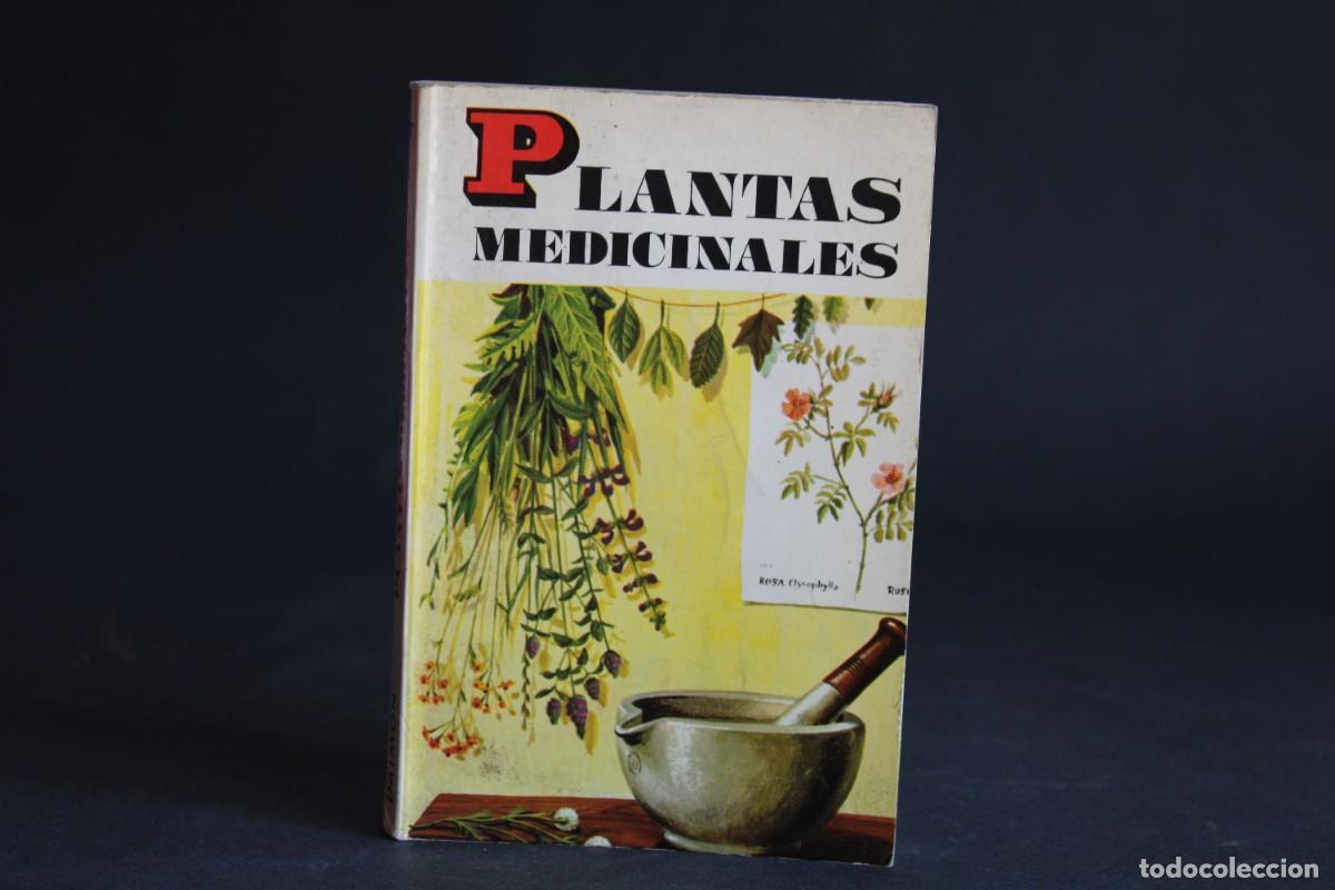 Libros de segunda mano: PLANTAS MEDICINALES / MICHEL CARON