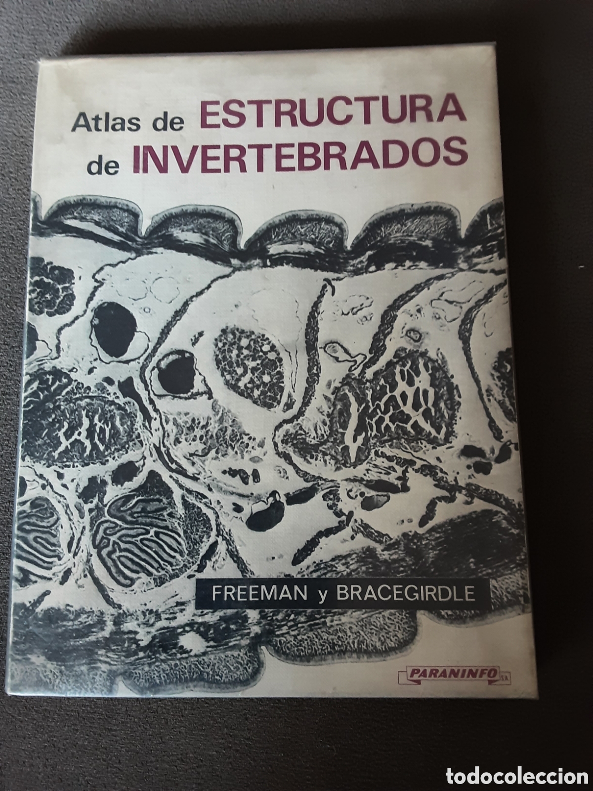 Libros de segunda mano: ATLAS DE ESTRUCTURA DE INVERTEBRADOS POR FREEMAN Y BRACEGIRDLE 1982
