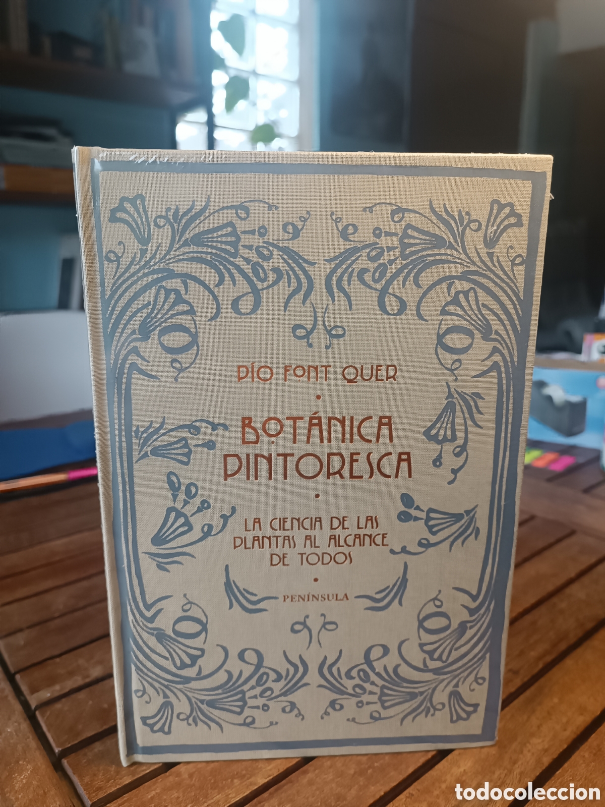 Libros de segunda mano: Bot&aacute;nica pintoresca La ciencia de las plantas al alcance de todos P&iacute;o Font Quer