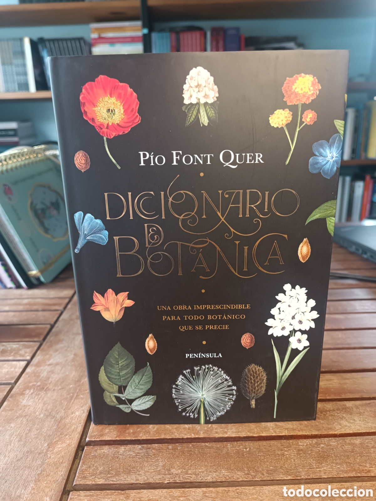 Libros de segunda mano: Diccionario de bot&aacute;nica Una obra imprescindible para todo bot&aacute;nico que se precie P&iacute;o Font Quer