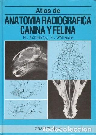 Libros de segunda mano: ATLAS DE ANATOMIA RADIOGRAFICA CANINA Y FELINA - SCHEBITZ, H./WILKENS, H. - A-VETER-221