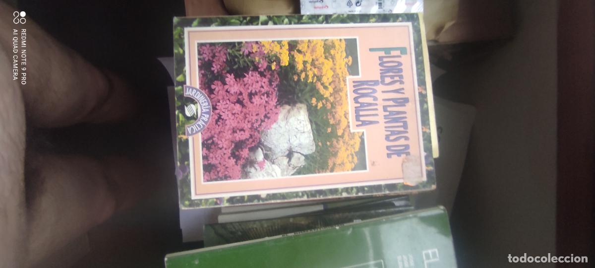 Libros de segunda mano: FLORES Y PLANTAS DE ROCALLA - JARDINER&Iacute;A - EDICIONES SUSAETA 1994