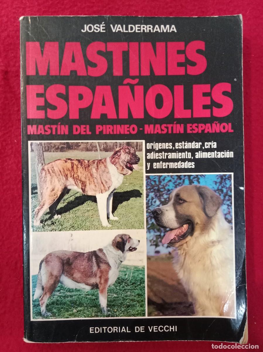 Libros de segunda mano: Mastines Espa&ntilde;oles - Jos&eacute; Valderrama - Editorial De Vecchi 1991