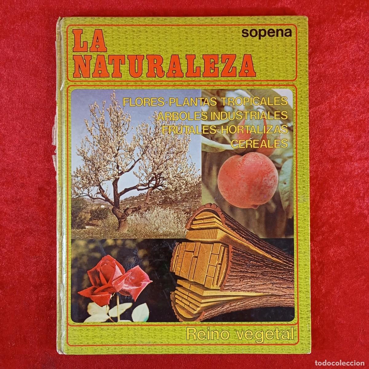 Libros de segunda mano: LA NATURALEZA - REINO VEGETAL - SOPENA - FLORES, PLANTAS TROPICALES, ARBOLES INDUSTRIALES / 6032
