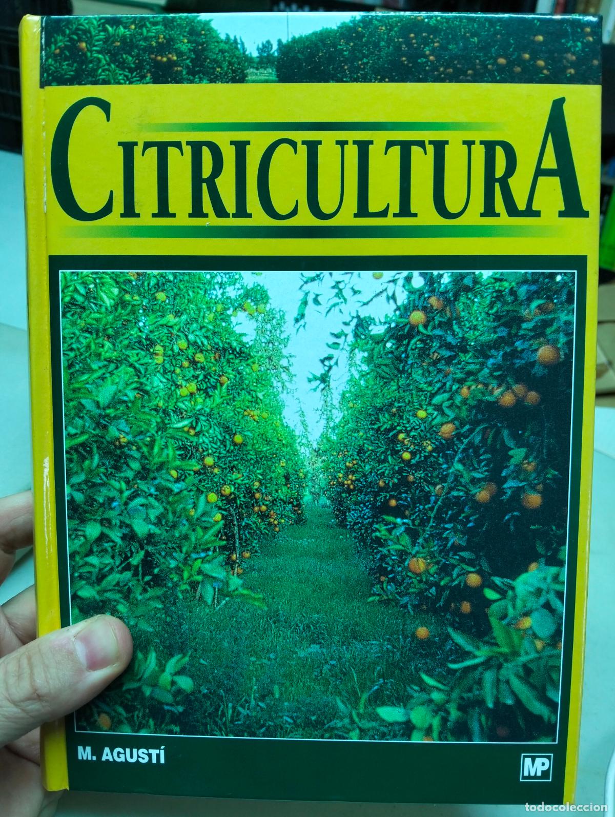 Libros de segunda mano: Citricultura, M. Agusti, ed. Mundi prensa, 2000. VISITA MI CATALOGO