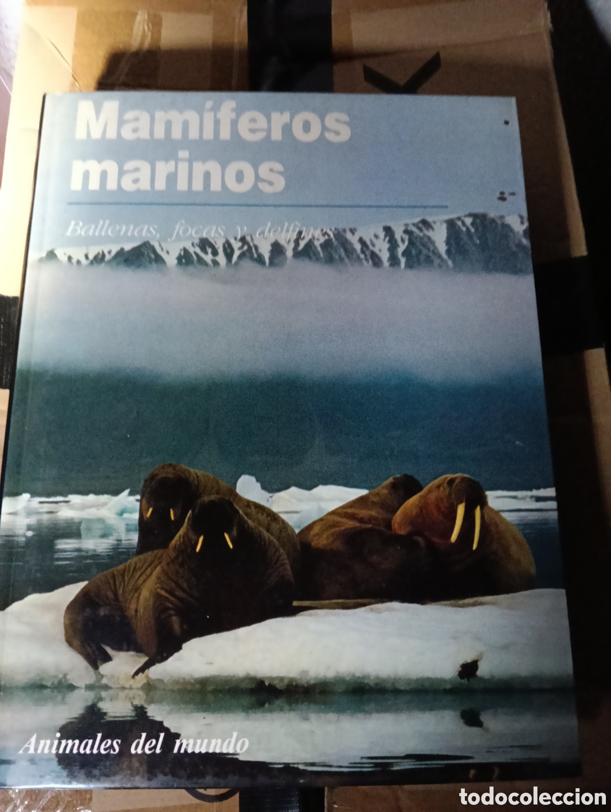 Libros de segunda mano: Toreteblanco mam&iacute;feros marinos ballenas focas y delfines
