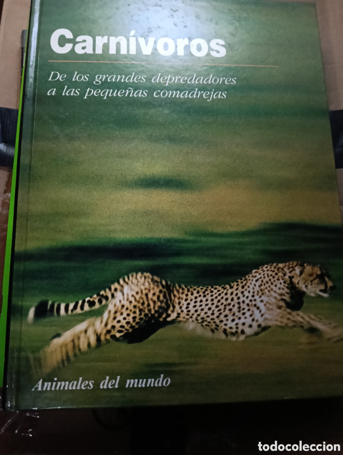 Libros de segunda mano: Toreteblanco carn&iacute;voros de los grandes depredadores a las peque&ntilde;as comadrejas