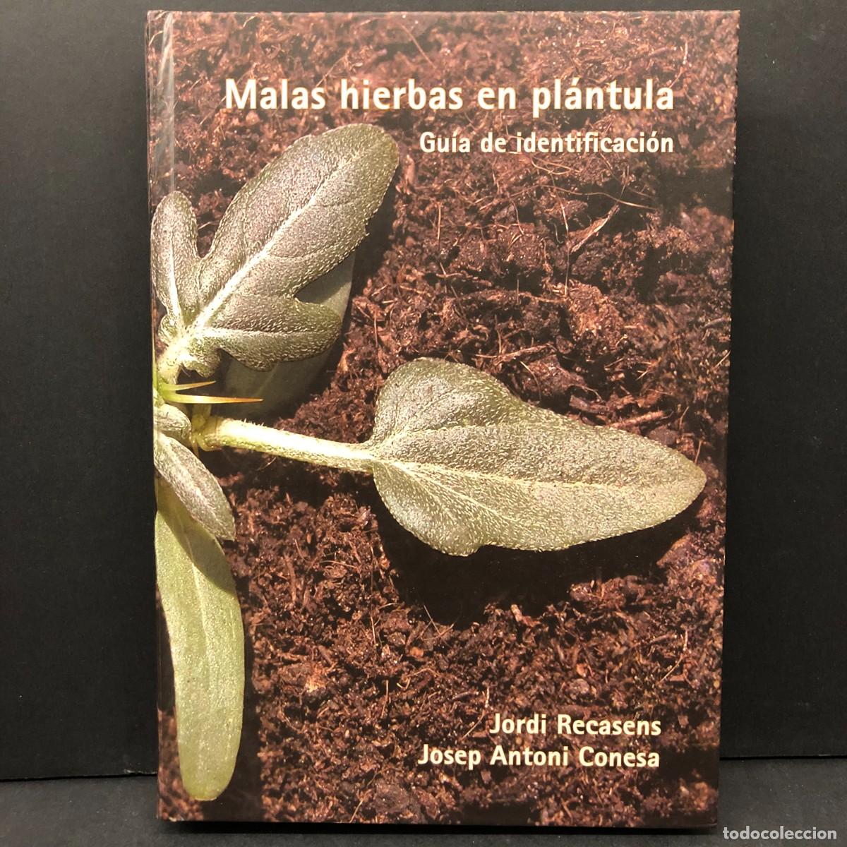 Libros de segunda mano: GU&Iacute;MALAS HIERBAS EN PL&Aacute;NTULA - GU&Iacute;A DE IDENTIFICACI&Oacute;N - JORDI RECASENS - JOSEP ANTONI CONESA / 6497