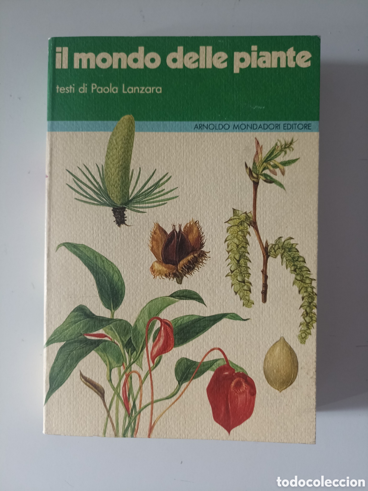 Libri di seconda mano: LIBRO EN ITALIANO Paola Lanzara - Il mondo delle piante (El mundo de las plantas) (Monsadori, 1976)