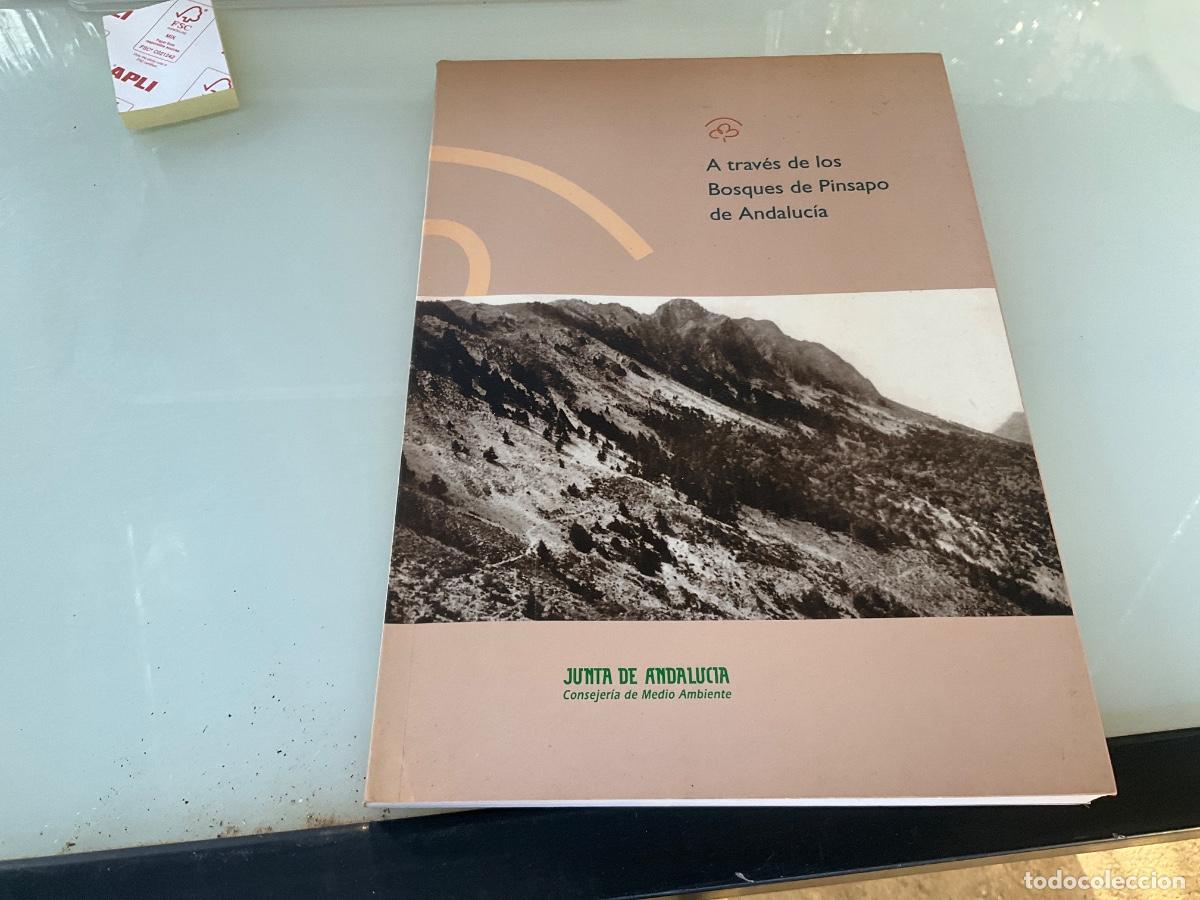 Libros de segunda mano: A TRAVES DE LOS BOSQUES DE PINSAPO DE ANDALUCIA - BARBEY,A.