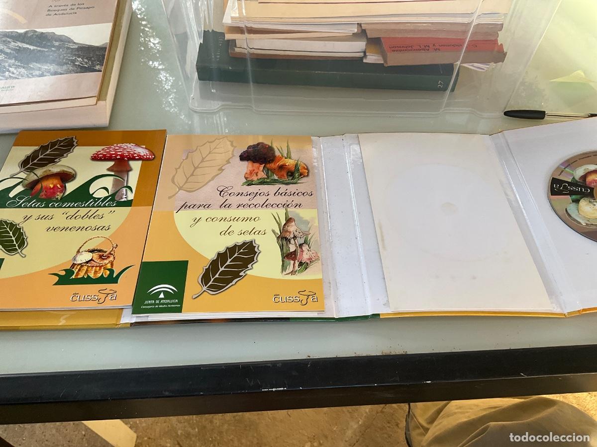 Libros de segunda mano: CONSEJOS B&Aacute;SICOS PARA LA RECOLECCI&Oacute;N DE SETAS. Incluye DVD - Foto 3