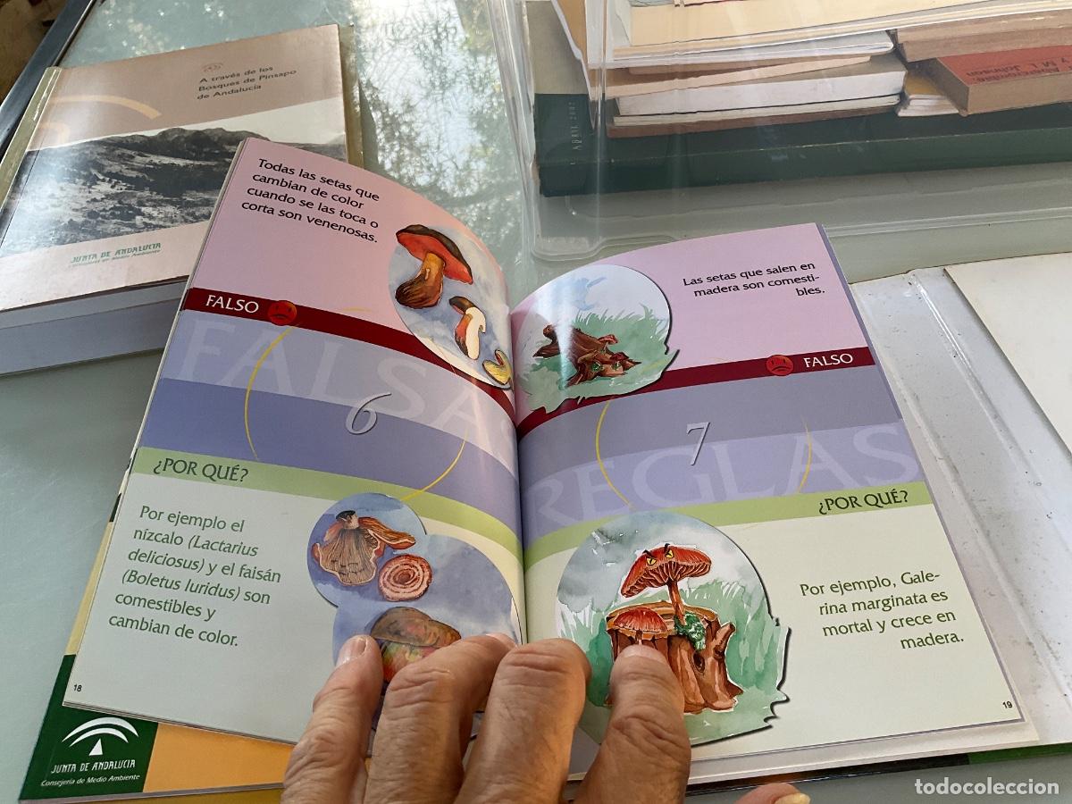Libros de segunda mano: CONSEJOS B&Aacute;SICOS PARA LA RECOLECCI&Oacute;N DE SETAS. Incluye DVD - Foto 4