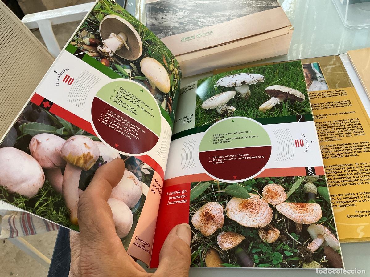 Libros de segunda mano: CONSEJOS B&Aacute;SICOS PARA LA RECOLECCI&Oacute;N DE SETAS. Incluye DVD - Foto 5
