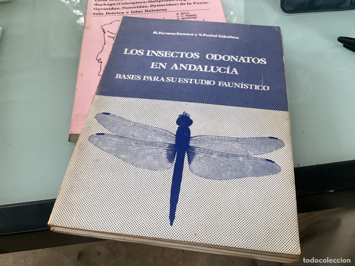 Libros de segunda mano: Los insectos Odonatos en Andaluc&iacute;a bases para su estudio faun&iacute;stico Ferreras dedicado autores