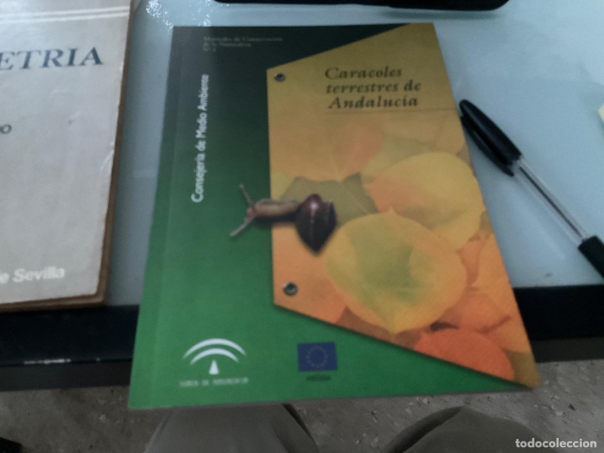 Libros de segunda mano: Caracoles terrestres de Andaluc&iacute;a. Manuales de conservaci&oacute;n de la naturaleza n&ordm; 1