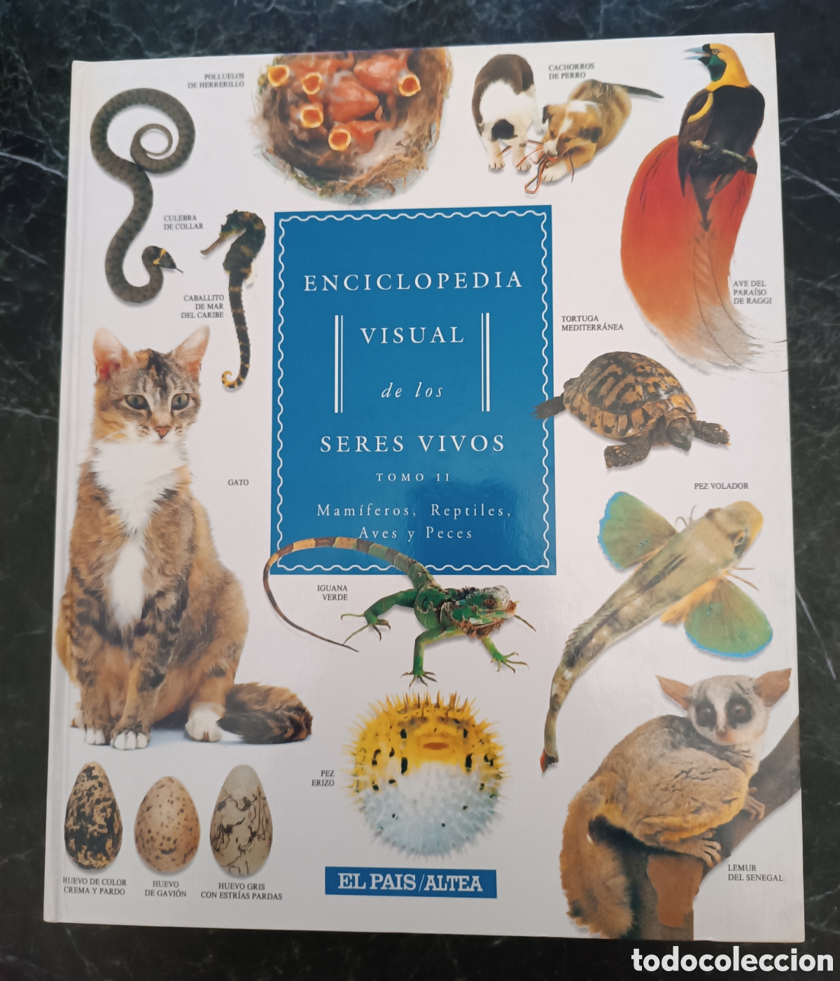 Libros de segunda mano: Enciclopedia visual de los seres vivos. - Foto 3
